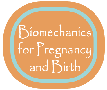 Biomechanics for pregnancy and birth